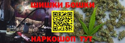 гашик Будённовск