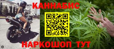 гашик Будённовск