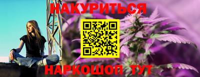 гашик Будённовск